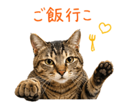 837549135