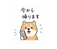 837551318