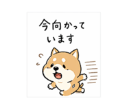837551322