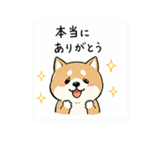 837551334