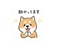 837551335