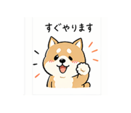 837551336