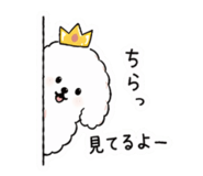 837552198