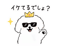 837552204