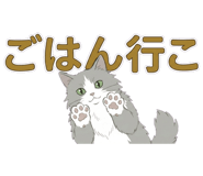 837553304