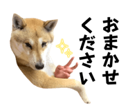 837554168