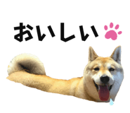 837554172