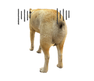 837554174