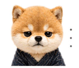 837554775