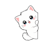 837556408