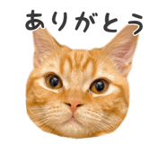837561083