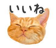 837561086