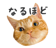 837561090