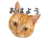 837561093