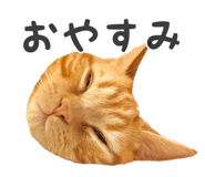 837561094
