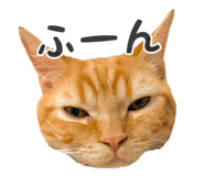 837561095
