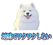 837561690