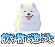 837561694