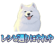 837561697