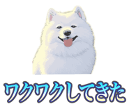837561698