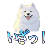 837561703