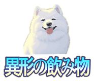 837561704