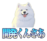 837561707