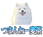 837561708