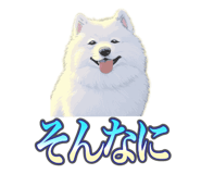 837561714