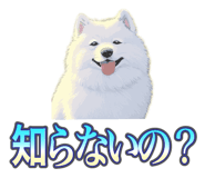 837561716
