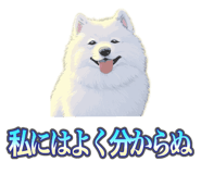 837561717
