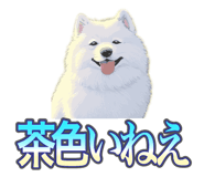 837561720