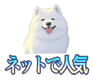 837561724
