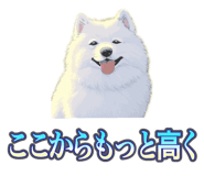 837561725