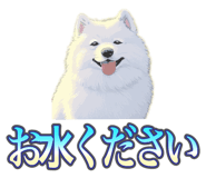 837561727