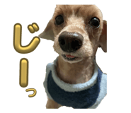837564346