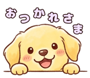 837567002