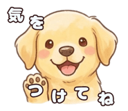 837567006
