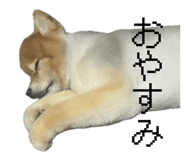 837571262