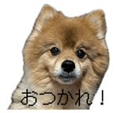 837571279
