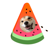 837572922
