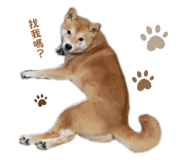 837572936