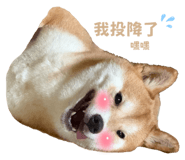 837572938