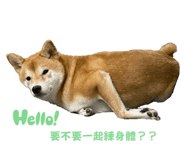 837572940
