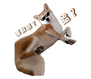 837572942