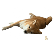 837572943