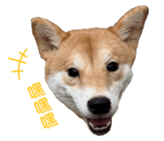 837572944
