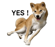 837572948