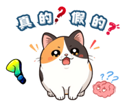 837574206