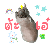 837578639